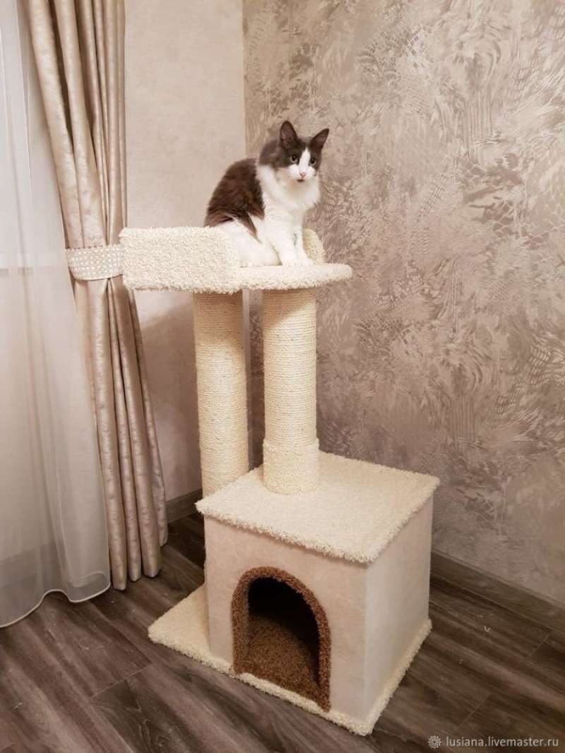 Harga cat tree deals