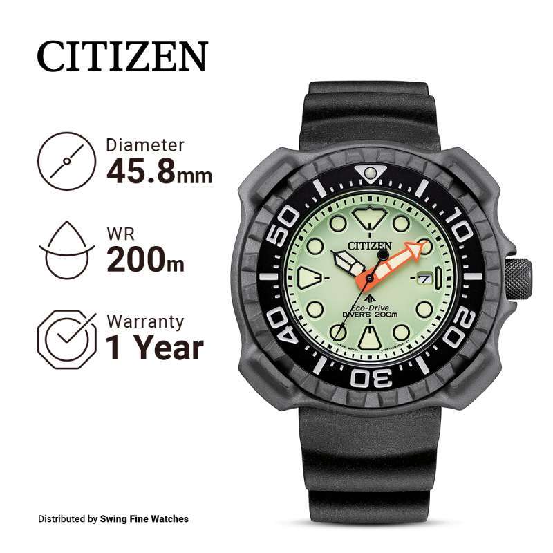 Harga citizen promaster online