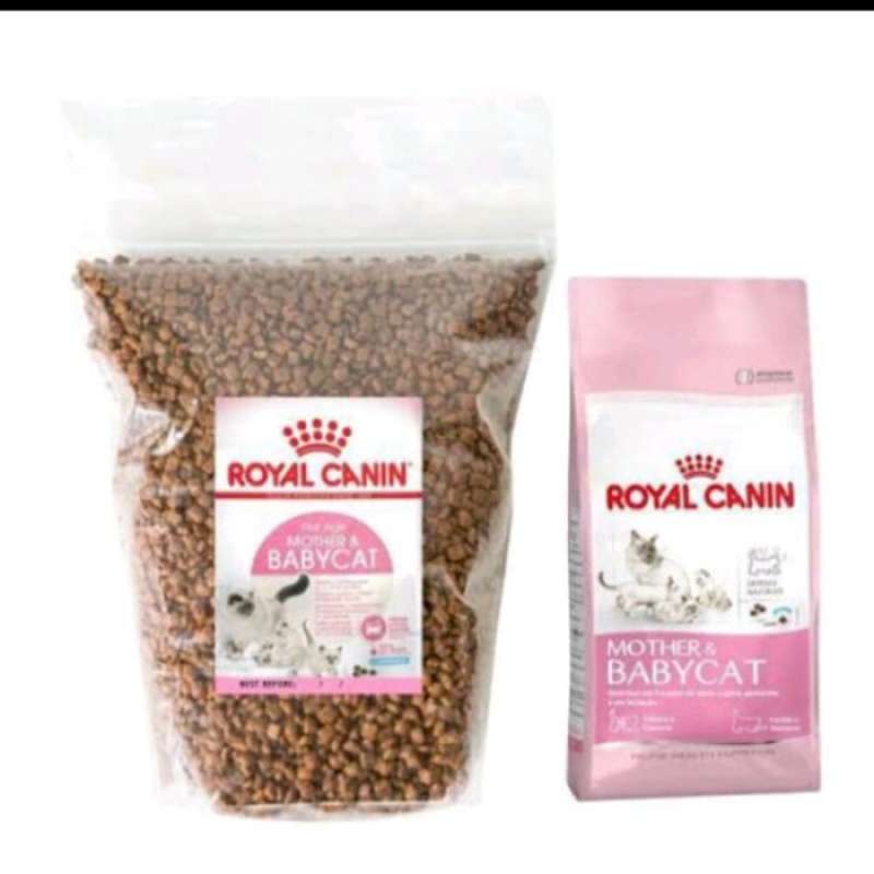 Perbedaan royal canin kitten 32 deals dan 36