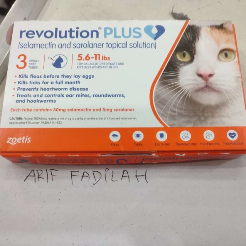 Revolution plus orange store