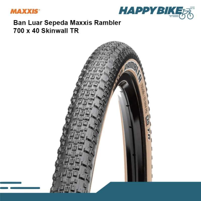 Ban 700c 2025 x 40