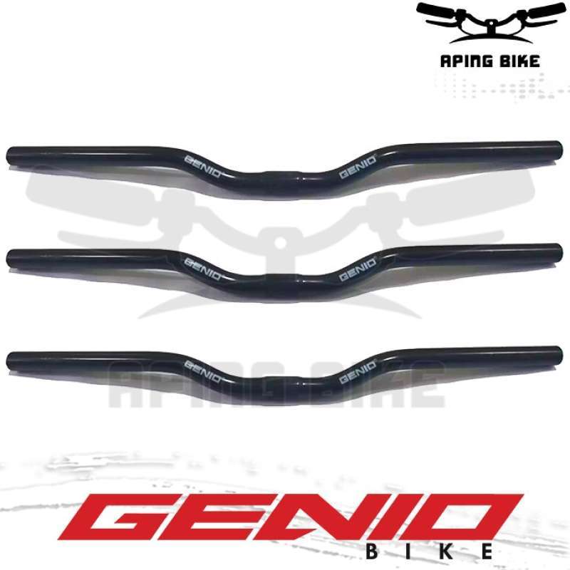 Stang fixie sales bmx