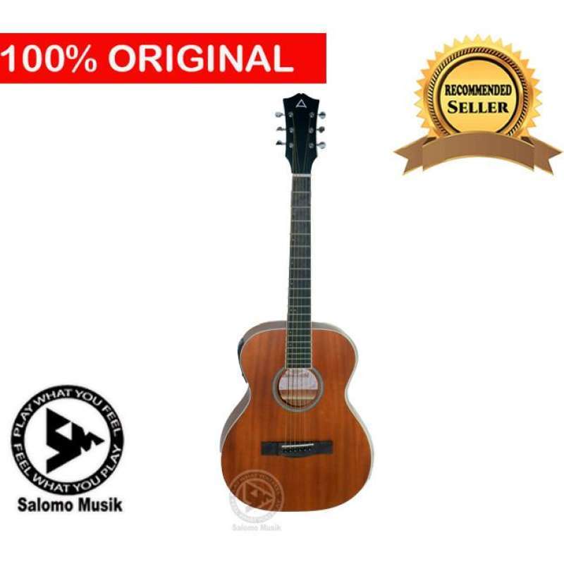 Gitar anderson store