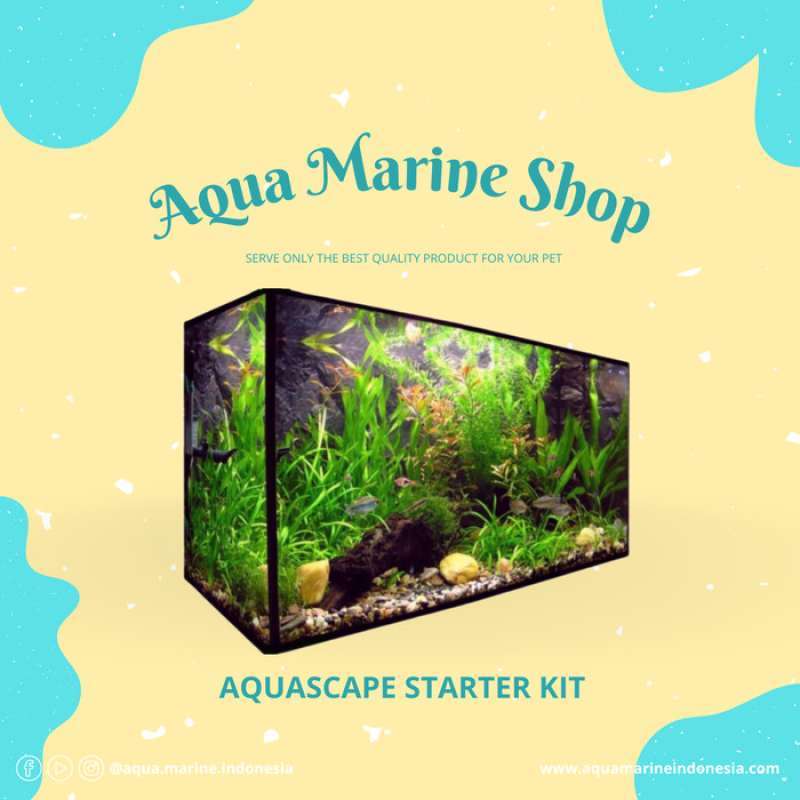 Aquascape starter kit outlet