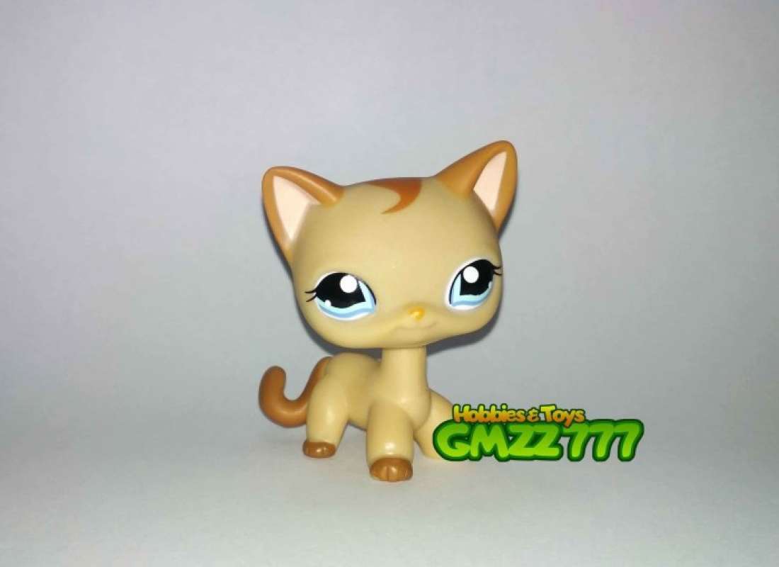 Lps shorthair cat 1024 cheap