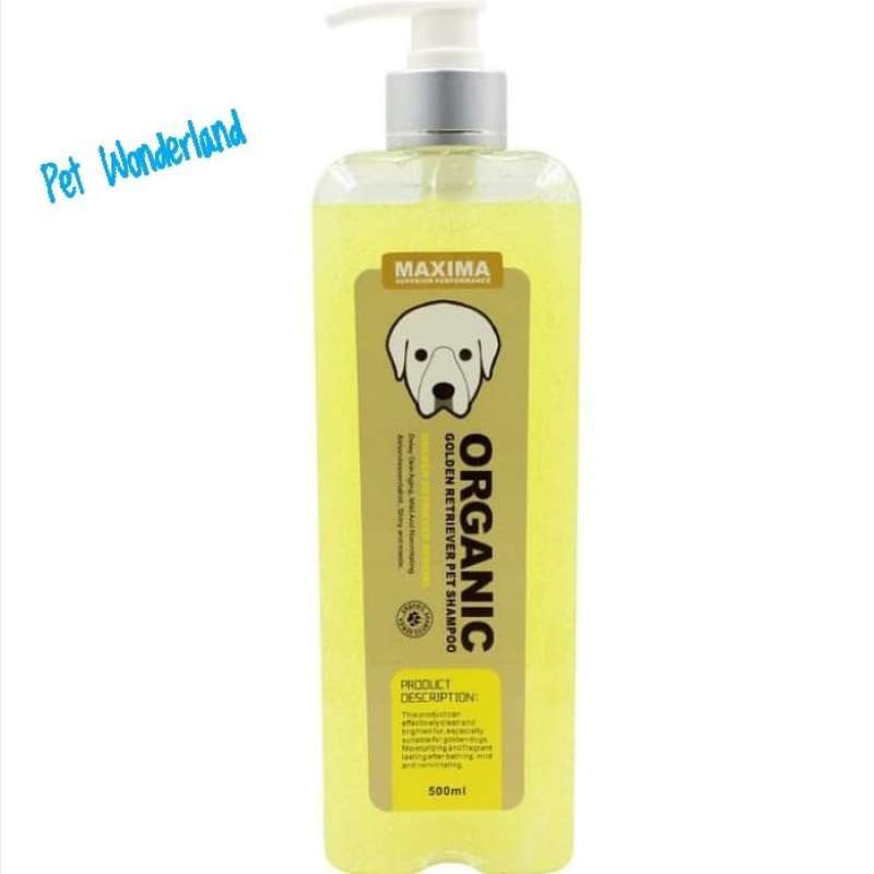 Shampoo anjing golden retriever outlet