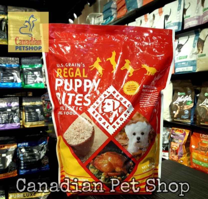 Regal puppy bites new arrivals