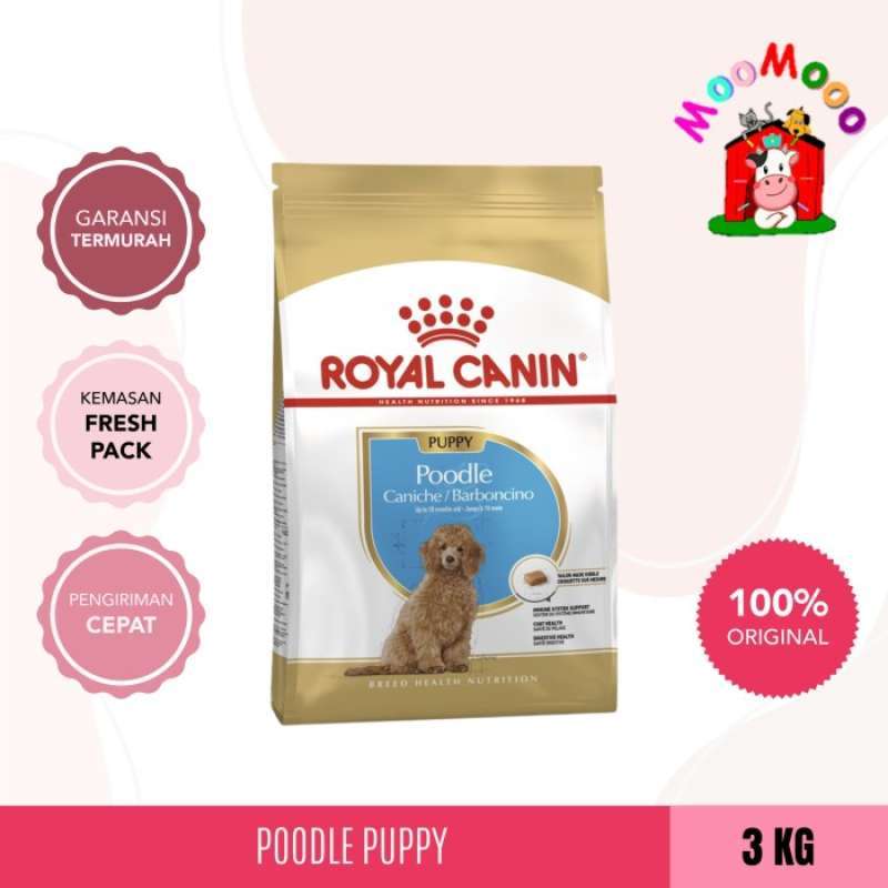 Royal canin best sale poodle junior 3kg