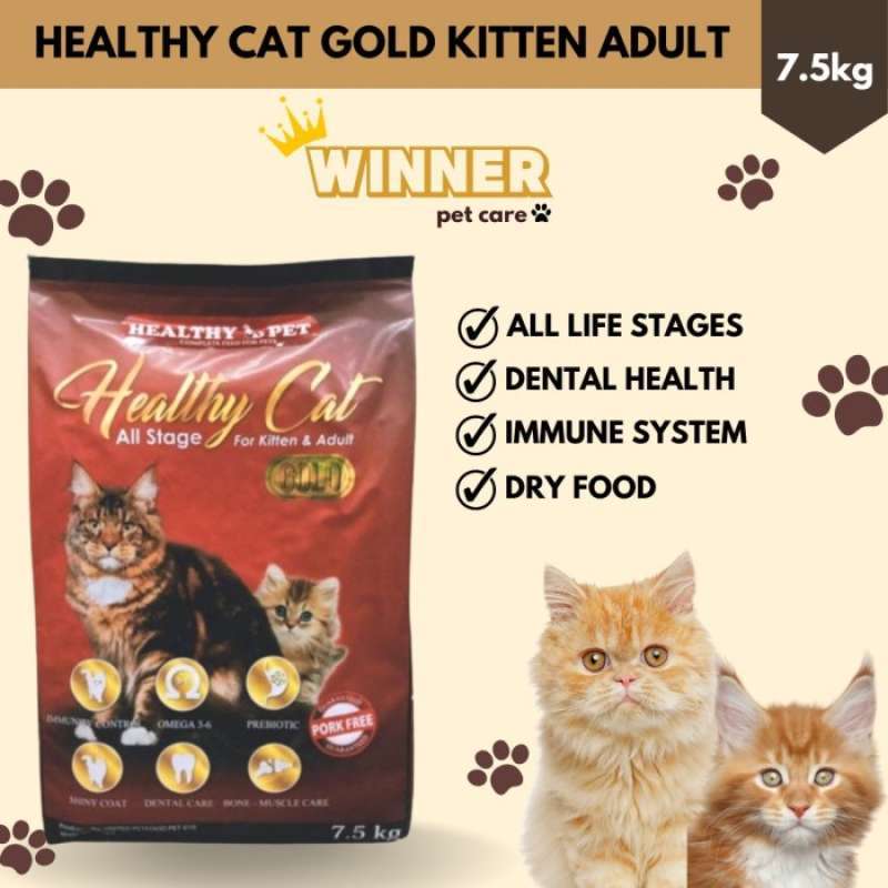Is expired dry cat food safe online