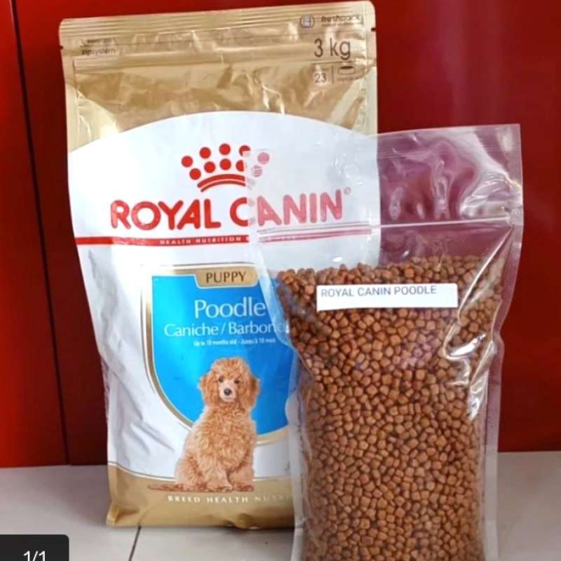 Royal canin puppy poodle cheap