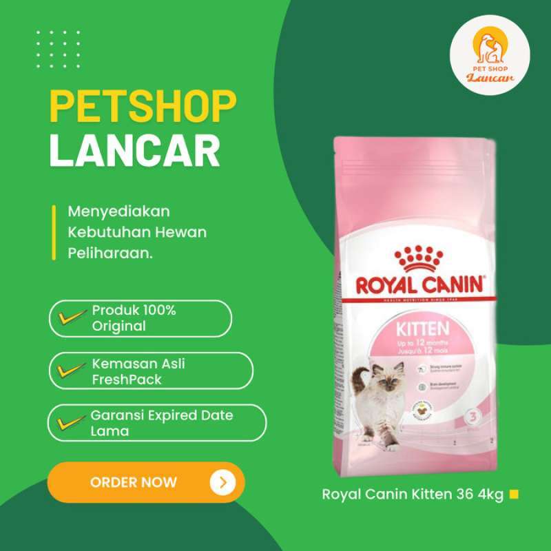 Rc kitten 36 top