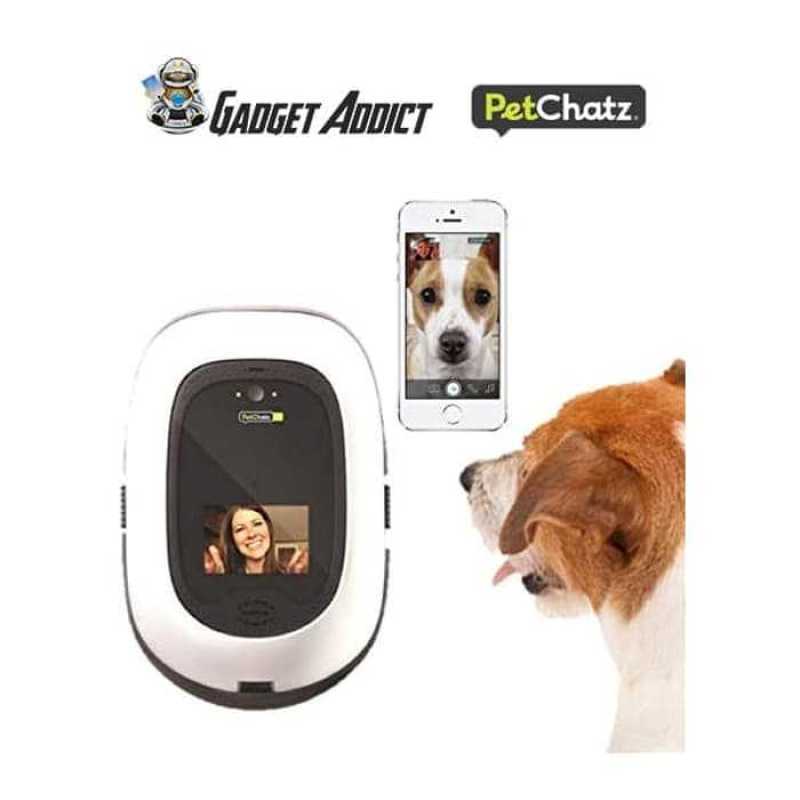 Promo Promo Terbatas Petchatz Hd Pet Camera Diskon 23 di