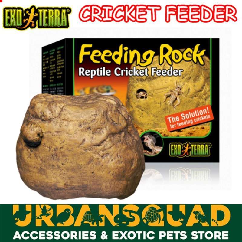 EXOTERRA FEEDING ROCK CRICKET FEEDER TEMPAT JANGKRIK MAKANAN REPTILE