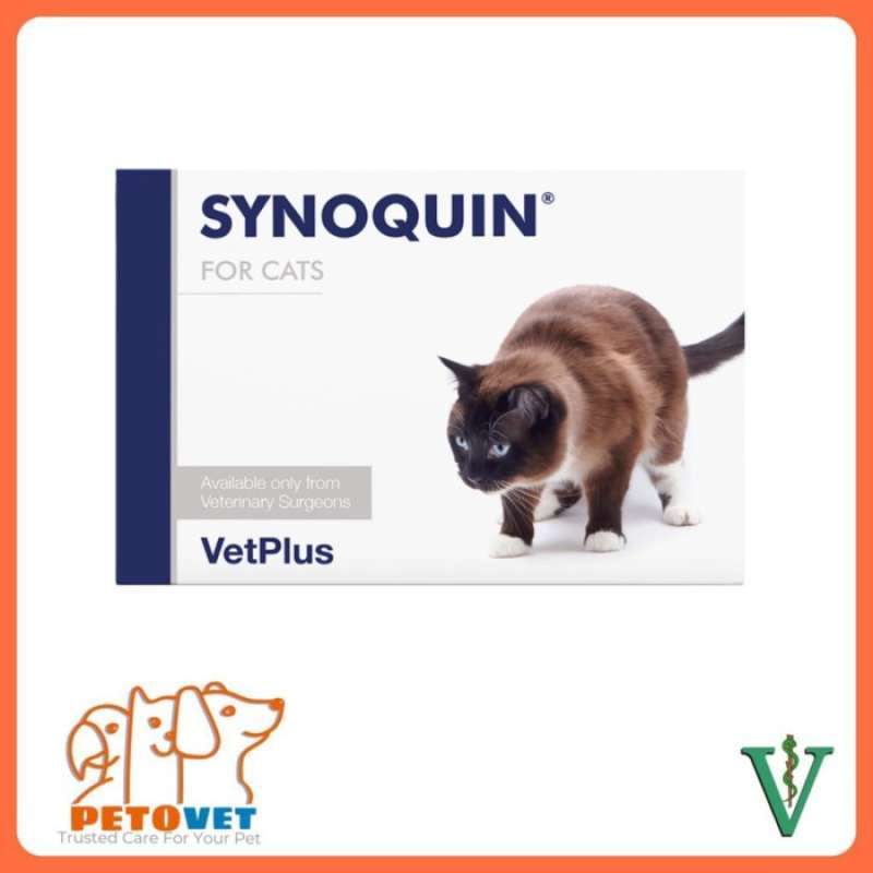 Synoquin cat online