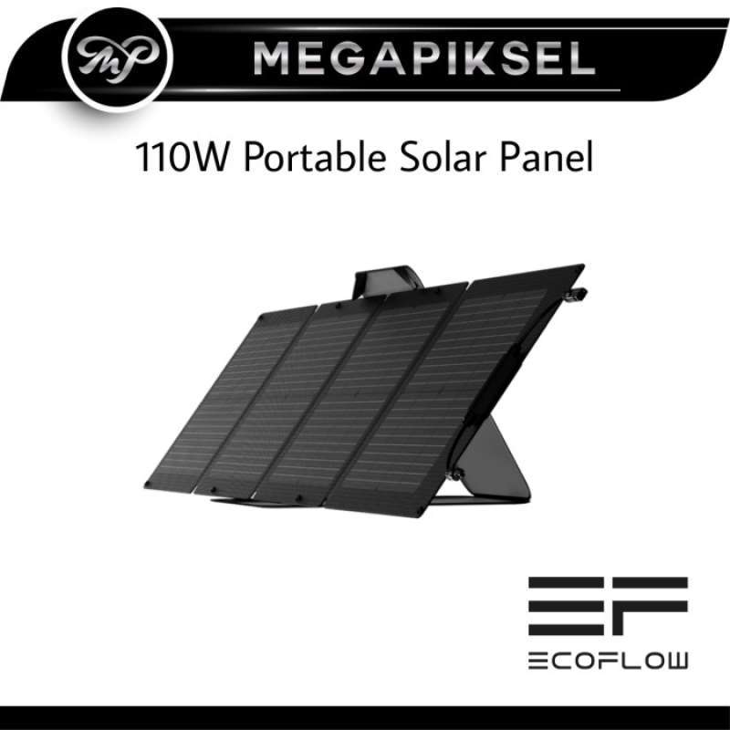 EcoFlow Solar Panel Portable Power for Sustainable Living
