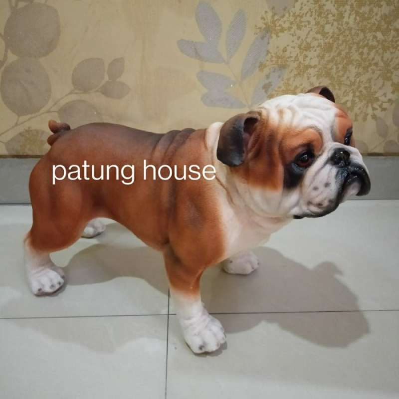 Harga english bulldog clearance