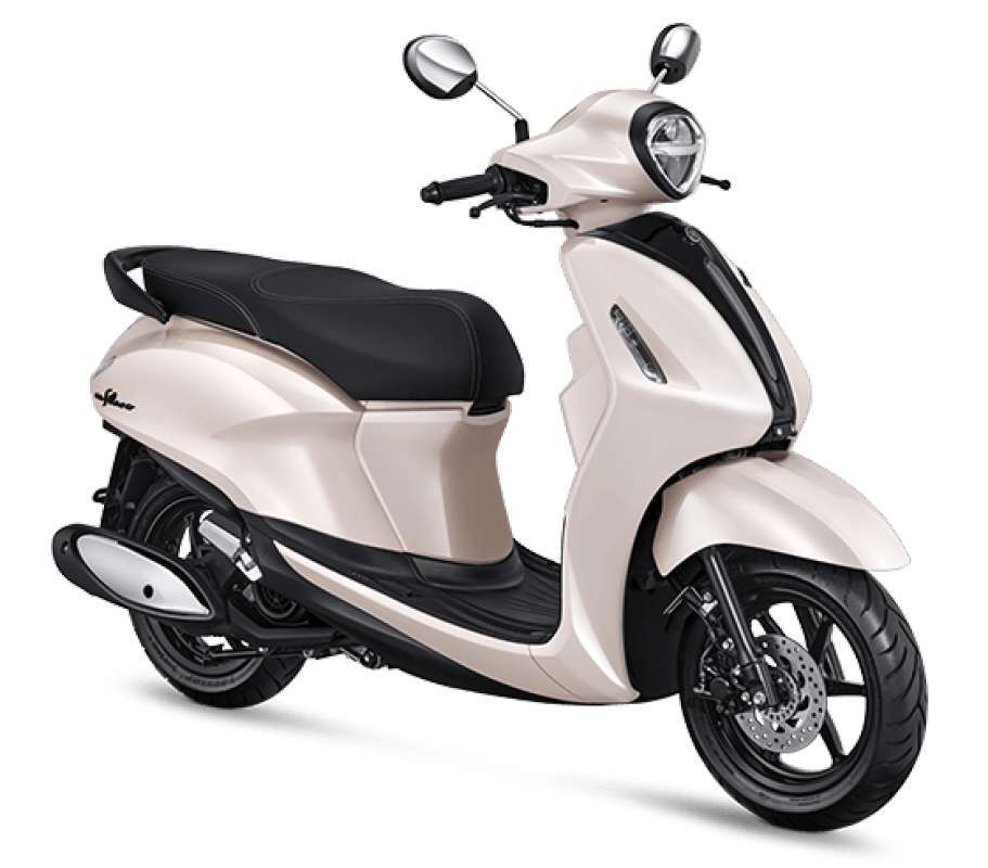 Felano on sale