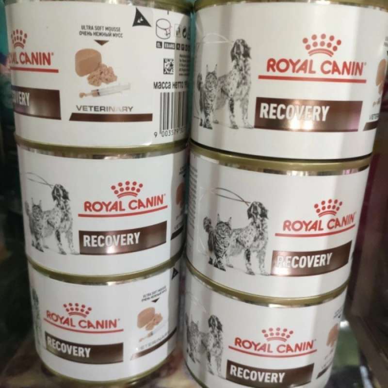 Royal canin recovery untuk kitten hot sale