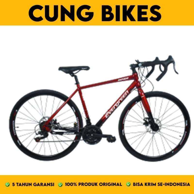 Evergreen road sales bike