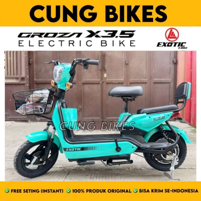 Pacific e bikes sale