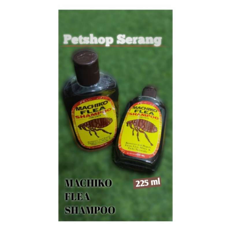 Shampo machiko discount