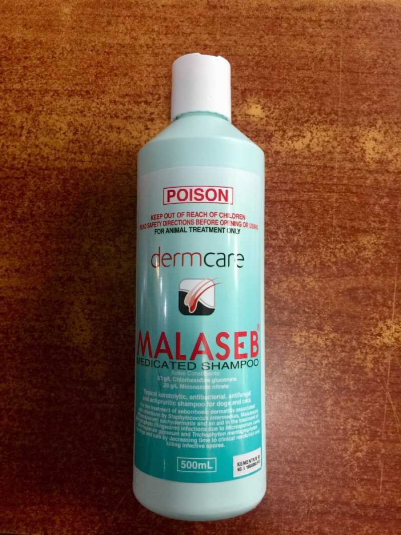 Malaseb dermcare cheap