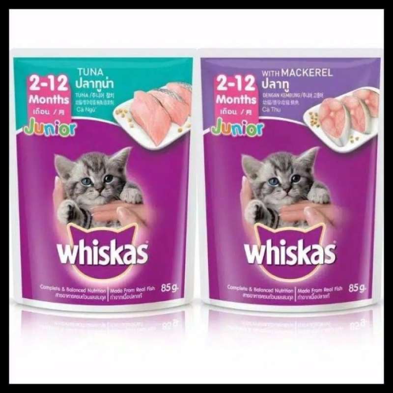 Jual New Promo Price Whiskas Sachet Junior Adult 1 Dus 24 Sachet