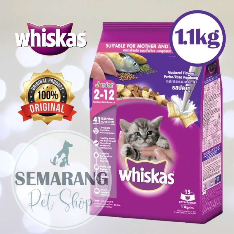 Whiskas junior deals mackerel