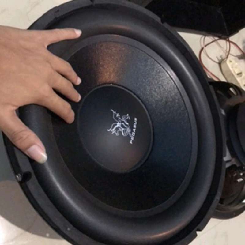 Speaker pegasus 18 deals inch