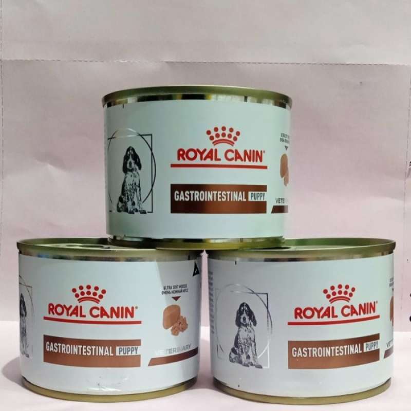 Royal canin gastro intestinal 200g sales