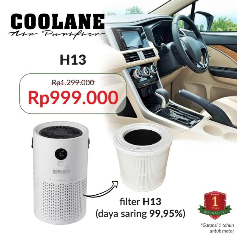 N ion store in air purifier