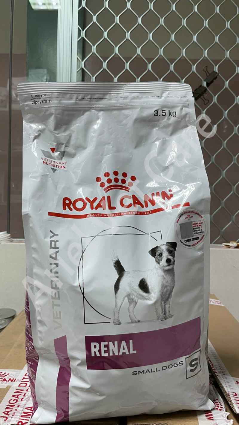 Royal canin clearance renal small dog