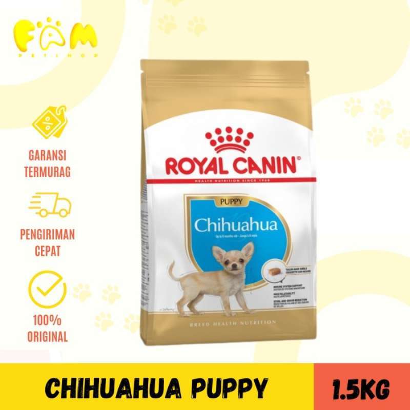 Chihuahua royal canin junior outlet