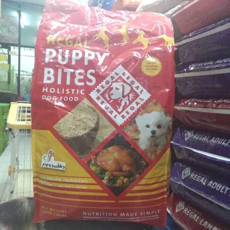 Regal puppy 2025 bites