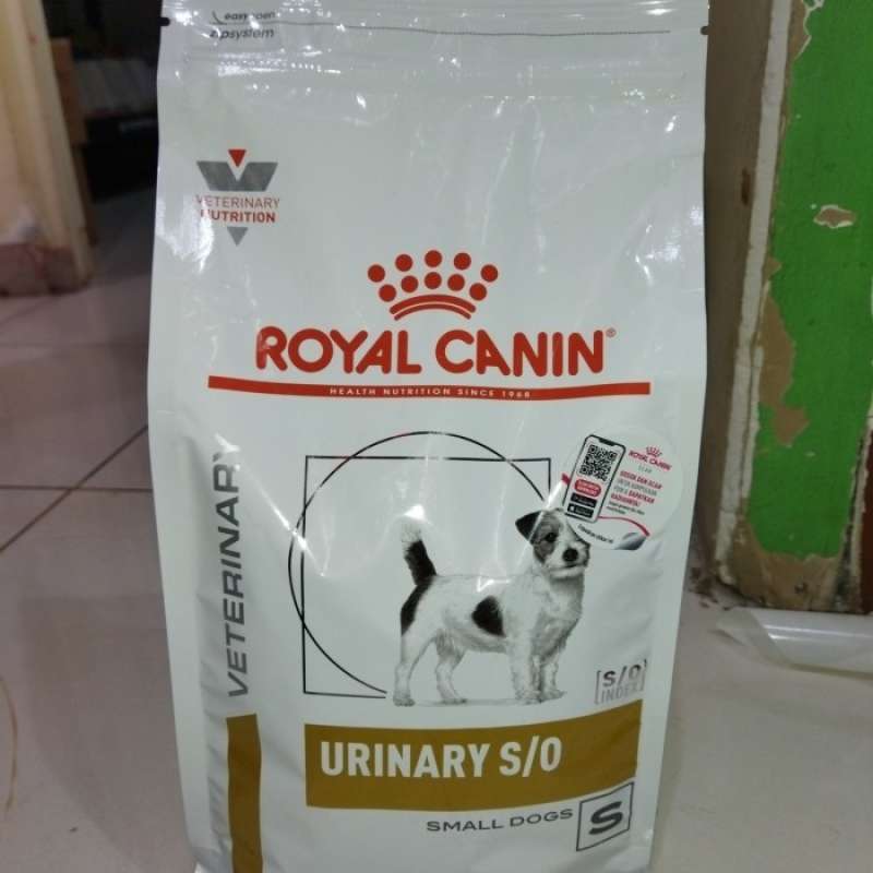 Royal urinary small dog sales