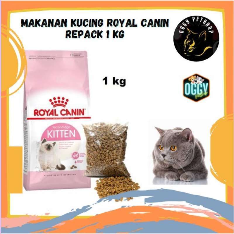 Royal canin deals kitten 1kg