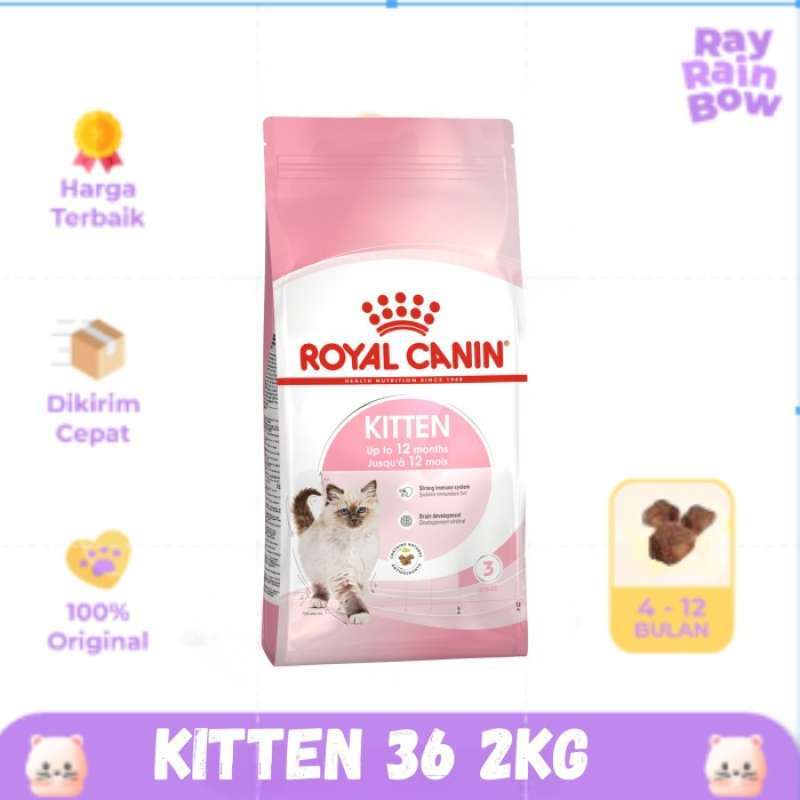 Royal canin kitten 36 2 kg top