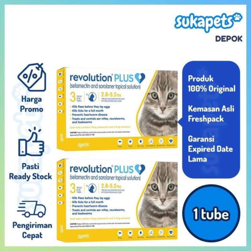 Expired revolution for best sale cats