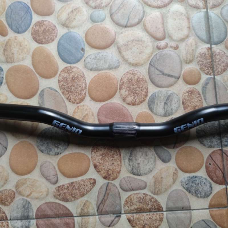 Risebar fixie sales