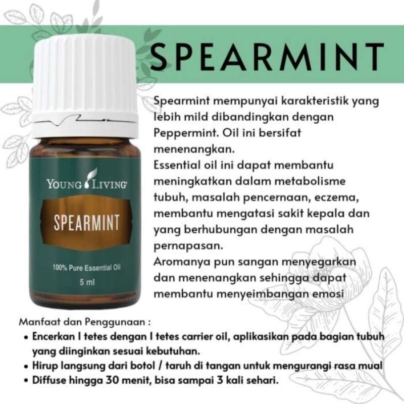 Spearmint young living sales