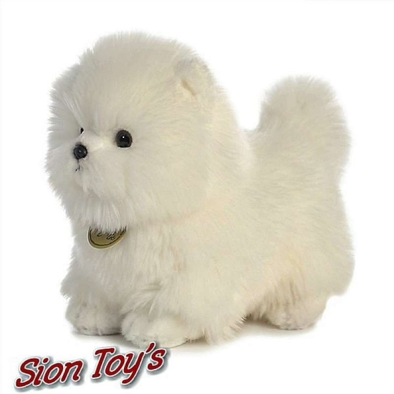 Jual pomeranian discount