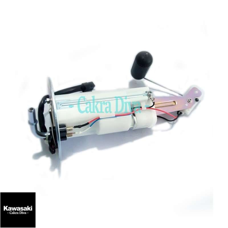 Fuel discount pump er6n