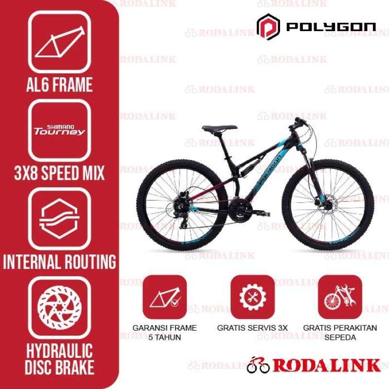 Frame polygon 2025 rayz 3