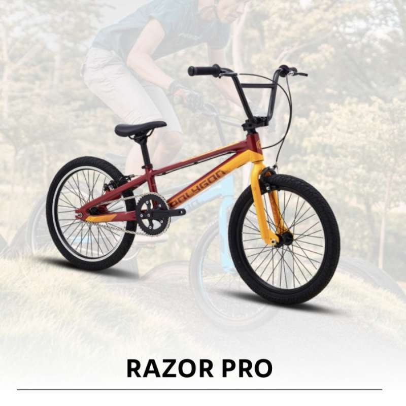 Polygon hotsell bmx blizzard