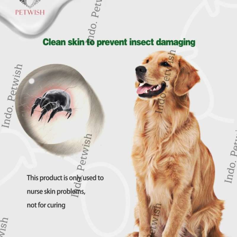 Shampoo anjing clearance golden retriever