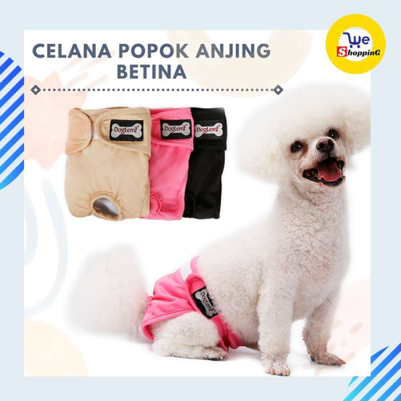 Dog pee pants online