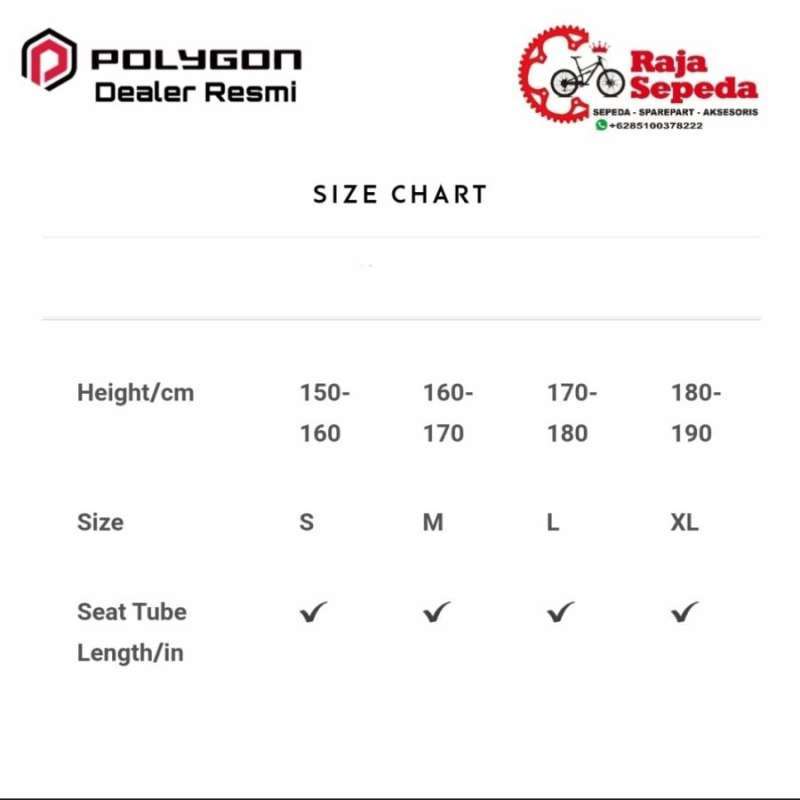 Polygon path 3 size chart sales