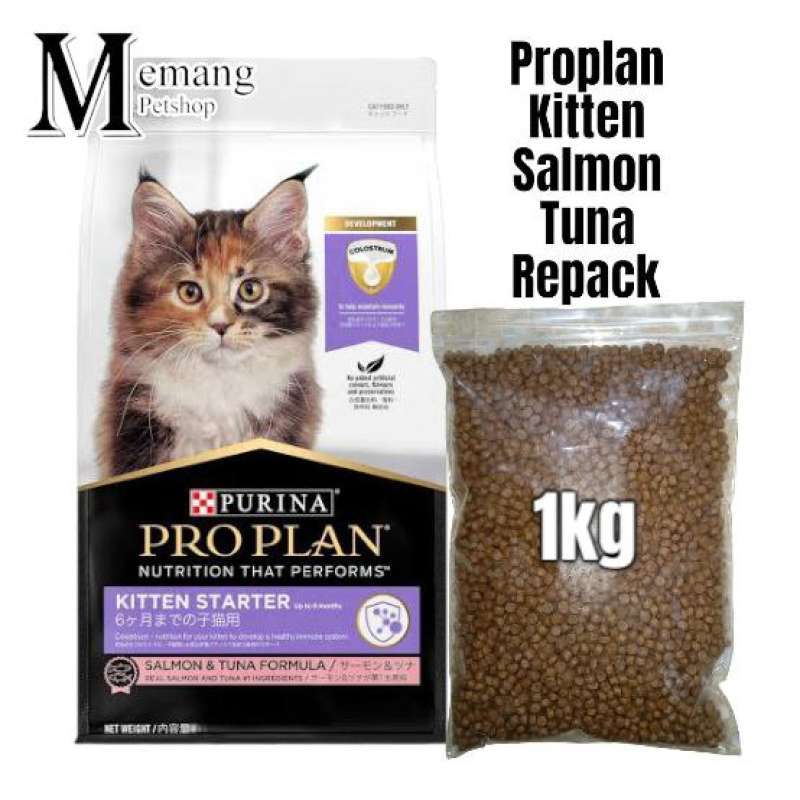 Pro plan top kitten harga