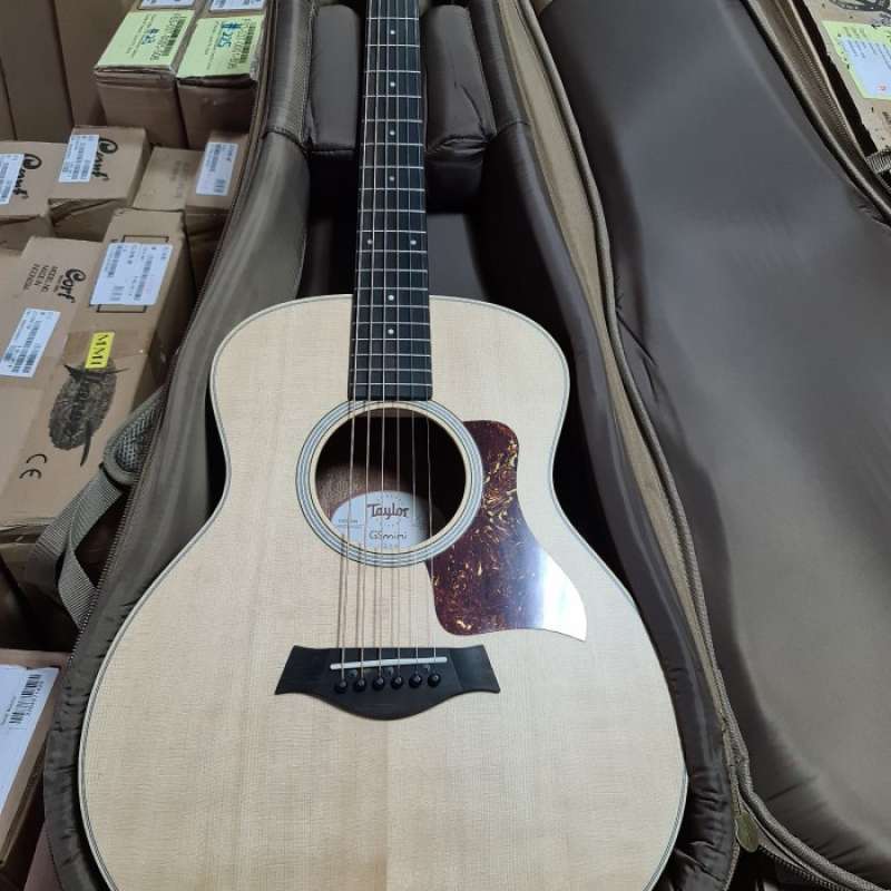 Taylor gs mini on sale harga