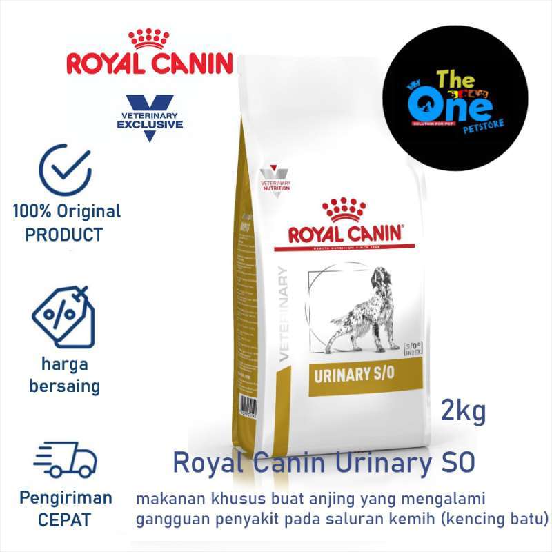 Perbedaan royal canin urinary care dan urinary so 2025